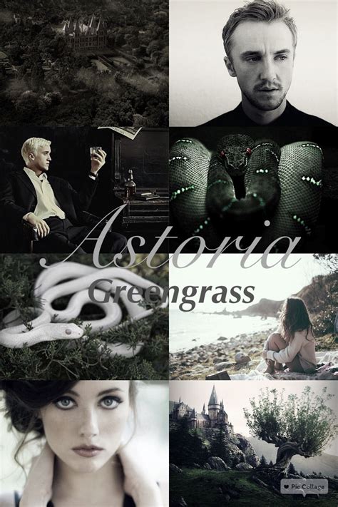 astoria harry potter|vsyo istorya harry potter.